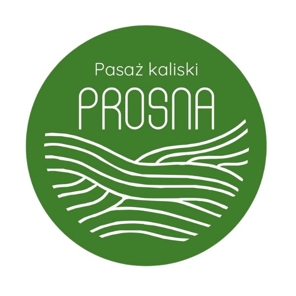 Pasaż Kaliski